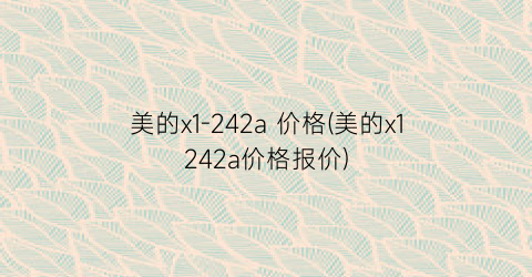 美的x1-242a 价格(美的x1242a价格报价)